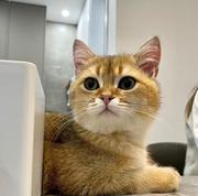 Code乐手马某某的个人资料头像