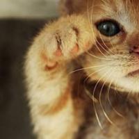 山山而川9915头像