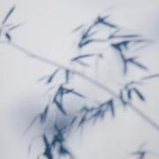 张敬熙的个人资料头像