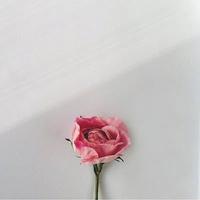 小楊女头像