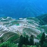 龙发成头像