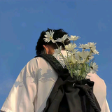 Alex迪西头像