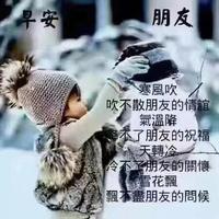 朴实小鱼aox头像