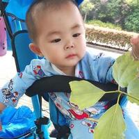 我是个穷屌丝头像