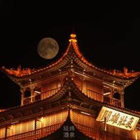 虞生Q头像