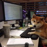 Dansanyo的个人资料头像