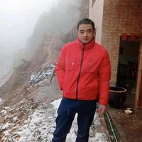 努力才会成功头像