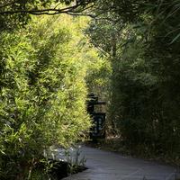 爱吃蛋奶饼的减脂虾头像