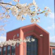 Humorous的个人资料头像