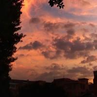 用户3505396820089头像