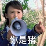 董小姐的追剧日记1头像