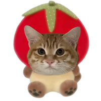 用户6076538184053头像