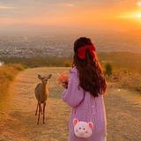 半篱兰香552头像