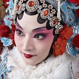 英明果断奶酪5头像