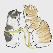 Aghu的个人资料头像