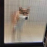 鹿米881的个人资料头像