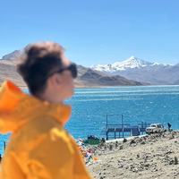 暴躁的小熊专做奔驰e轿跑头像