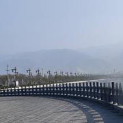 阿冲720的个人资料头像