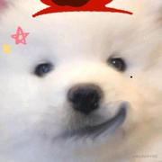 yeykira的个人资料头像