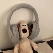 Yanka的个人资料头像