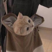 兔子不爱吃苦瓜的个人资料头像