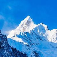 雪山夏果头像