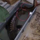 踏血寻踪27头像