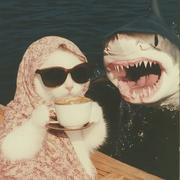 JIANGXIN856的个人资料头像