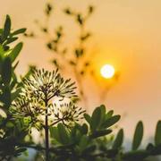 蔡轩的个人资料头像