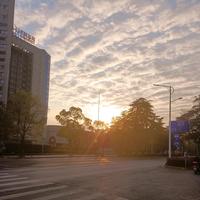 用户9976061859653头像