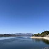 猪猪爸大食神头像