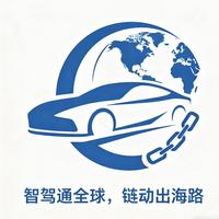 智驾全球行头像