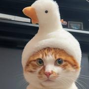 霉运全滚蛋好运围着转的个人资料头像