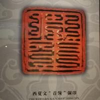 6358大连土豆头像