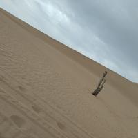 用户2667299940361头像