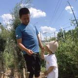 刚是刚刚的刚头像