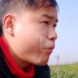 你的头发乱了哦头像