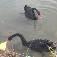 取个好名这么难00头像