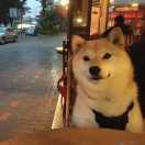 班布的个人资料头像