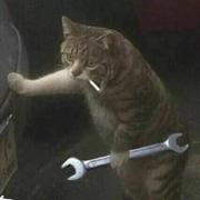 membranes的个人资料头像