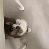 万宝园林石业头像