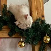 网友高某的个人资料头像