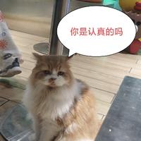 木阡陌昜头像