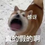 摆烂混吃王头像