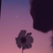 用户正在敲代码的个人资料头像