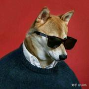 心游Into的个人资料头像