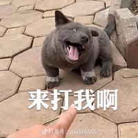 快快跑头像