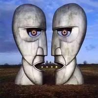 贺兰山巅一根草165头像