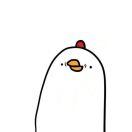 NPY的个人资料头像