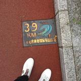 率真风铃NOv头像